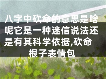 八字中砍命的意思是啥呢它是一种迷信说法还是有其科学依据,砍命根子表情包