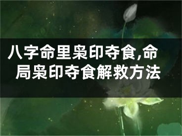 八字命里枭印夺食,命局枭印夺食解救方法