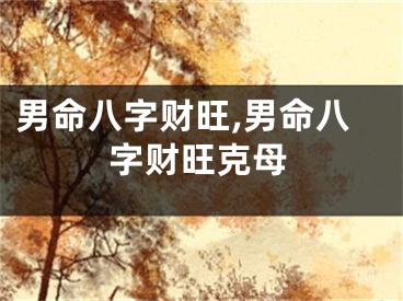 男命八字财旺,男命八字财旺克母