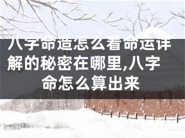 八字命造怎么看命运详解的秘密在哪里,八字命怎么算出来