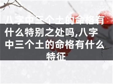 八字中三个土的命格有什么特别之处吗,八字中三个土的命格有什么特征