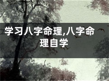 学习八字命理,八字命理自学