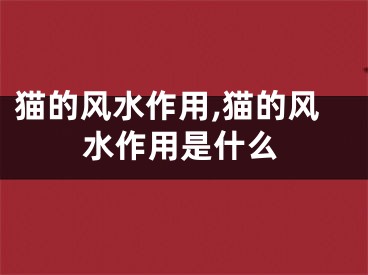 猫的风水作用,猫的风水作用是什么
