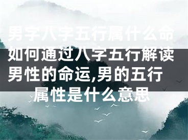 男字八字五行属什么命如何通过八字五行解读男性的命运,男的五行属性是什么意思