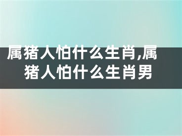 属猪人怕什么生肖,属猪人怕什么生肖男