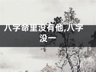 八字命里没有他,八字没一