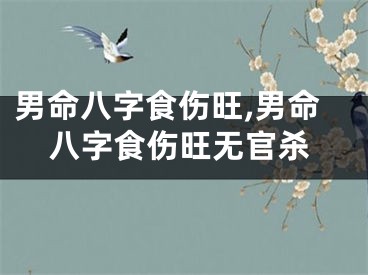男命八字食伤旺,男命八字食伤旺无官杀