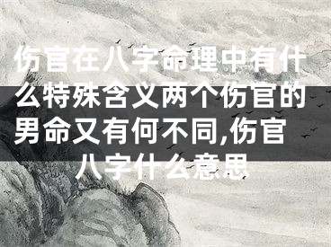 伤官在八字命理中有什么特殊含义两个伤官的男命又有何不同,伤官八字什么意思