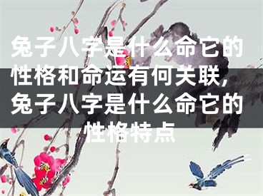 兔子八字是什么命它的性格和命运有何关联,兔子八字是什么命它的性格特点