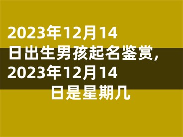 2023年12月14日出生男孩起名鉴赏,2023年12月14日是星期几