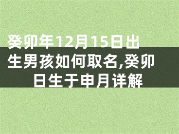 癸卯年12月15日出生男孩如何取名,癸卯日生于申月详解