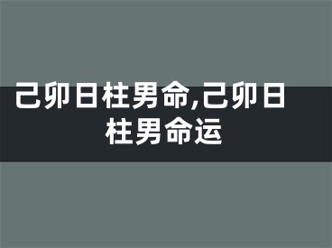 己卯日柱男命,己卯日柱男命运