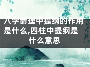 八字命理中提纲的作用是什么,四柱中提纲是什么意思