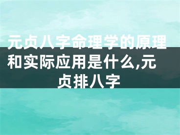 元贞八字命理学的原理和实际应用是什么,元贞排八字