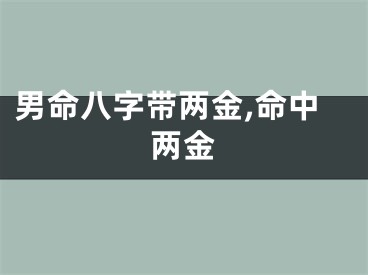 男命八字带两金,命中两金