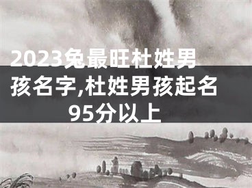 2023兔最旺杜姓男孩名字,杜姓男孩起名95分以上