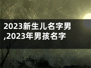 2023新生儿名字男,2023年男孩名字