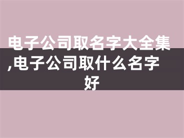电子公司取名字大全集,电子公司取什么名字好