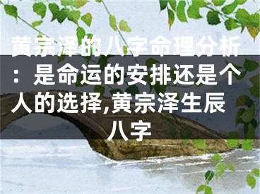 黄宗泽的八字命理分析：是命运的安排还是个人的选择,黄宗泽生辰八字