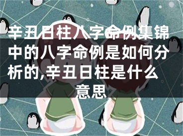 辛丑日柱八字命例集锦中的八字命例是如何分析的,辛丑日柱是什么意思