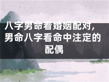 八字男命看婚姻配对,男命八字看命中注定的配偶