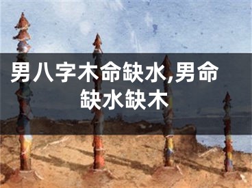 男八字木命缺水,男命缺水缺木