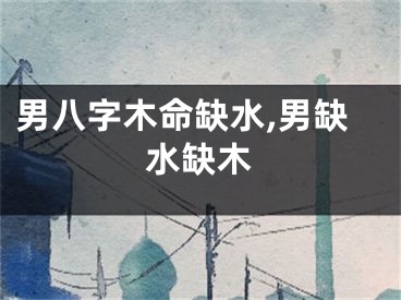男八字木命缺水,男缺水缺木