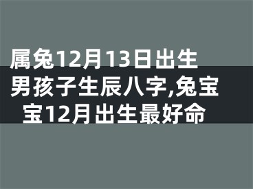 属兔12月13日出生男孩子生辰八字,兔宝宝12月出生最好命