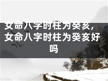 女命八字时柱为癸亥,女命八字时柱为癸亥好吗
