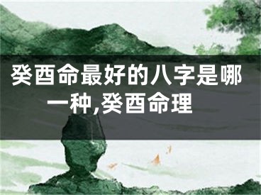 癸酉命最好的八字是哪一种,癸酉命理