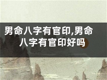 男命八字有官印,男命八字有官印好吗
