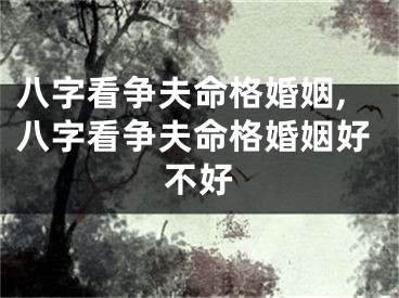 八字看争夫命格婚姻,八字看争夫命格婚姻好不好