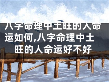 八字命理中土旺的人命运如何,八字命理中土旺的人命运好不好