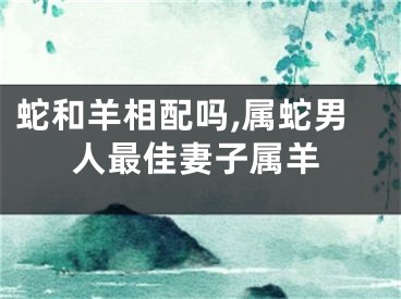 蛇和羊相配吗,属蛇男人最佳妻子属羊