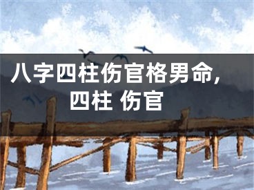 八字四柱伤官格男命,四柱 伤官
