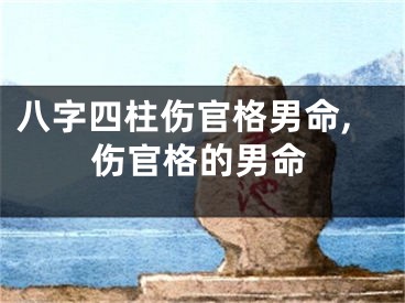 八字四柱伤官格男命,伤官格的男命