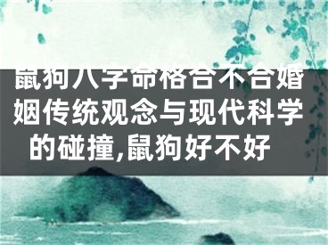 鼠狗八字命格合不合婚姻传统观念与现代科学的碰撞,鼠狗好不好