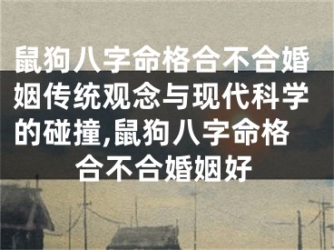 鼠狗八字命格合不合婚姻传统观念与现代科学的碰撞,鼠狗八字命格合不合婚姻好