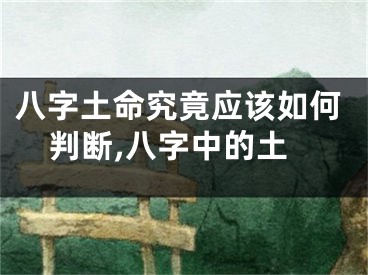 八字土命究竟应该如何判断,八字中的土