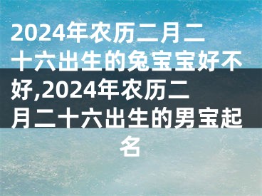 2024年农历二月二十六出生的兔宝宝好不好,2024年农历二月二十六出生的男宝起名