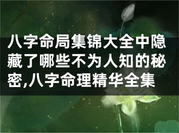 八字命局集锦大全中隐藏了哪些不为人知的秘密,八字命理精华全集