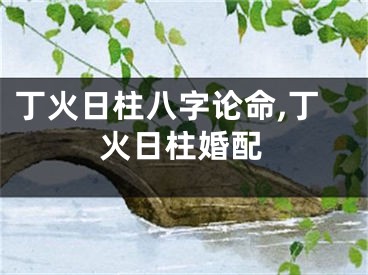 丁火日柱八字论命,丁火日柱婚配