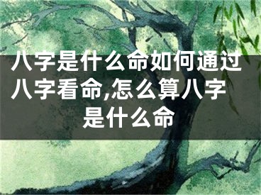 八字是什么命如何通过八字看命,怎么算八字是什么命