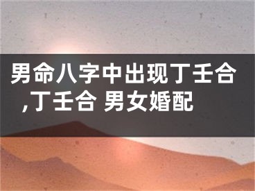 男命八字中出现丁壬合,丁壬合 男女婚配