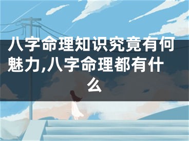 八字命理知识究竟有何魅力,八字命理都有什么