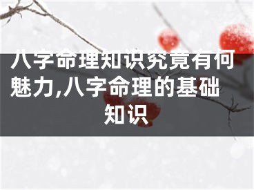 八字命理知识究竟有何魅力,八字命理的基础知识