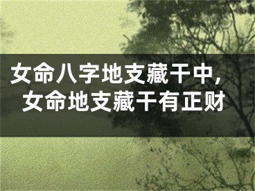 女命八字地支藏干中,女命地支藏干有正财