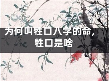 为何叫牲口八字的命,牲口是啥