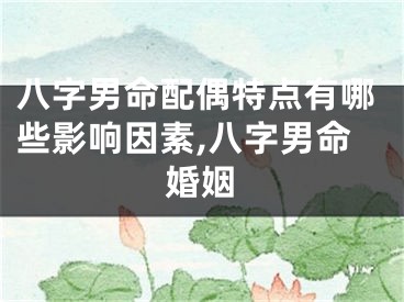 八字男命配偶特点有哪些影响因素,八字男命婚姻