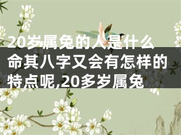 20岁属兔的人是什么命其八字又会有怎样的特点呢,20多岁属兔